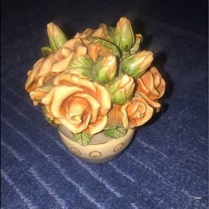 Harmony Garden Egyptian Rose